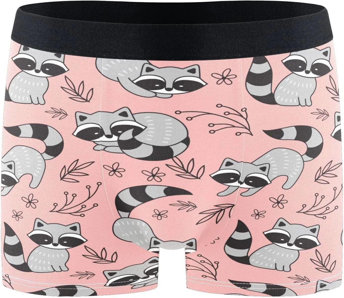 Cute Cartoon Racoon Funny Men Underwear Brief Underwear Boxers Briefs 1-Pack Unique Gifts for Men, XL
