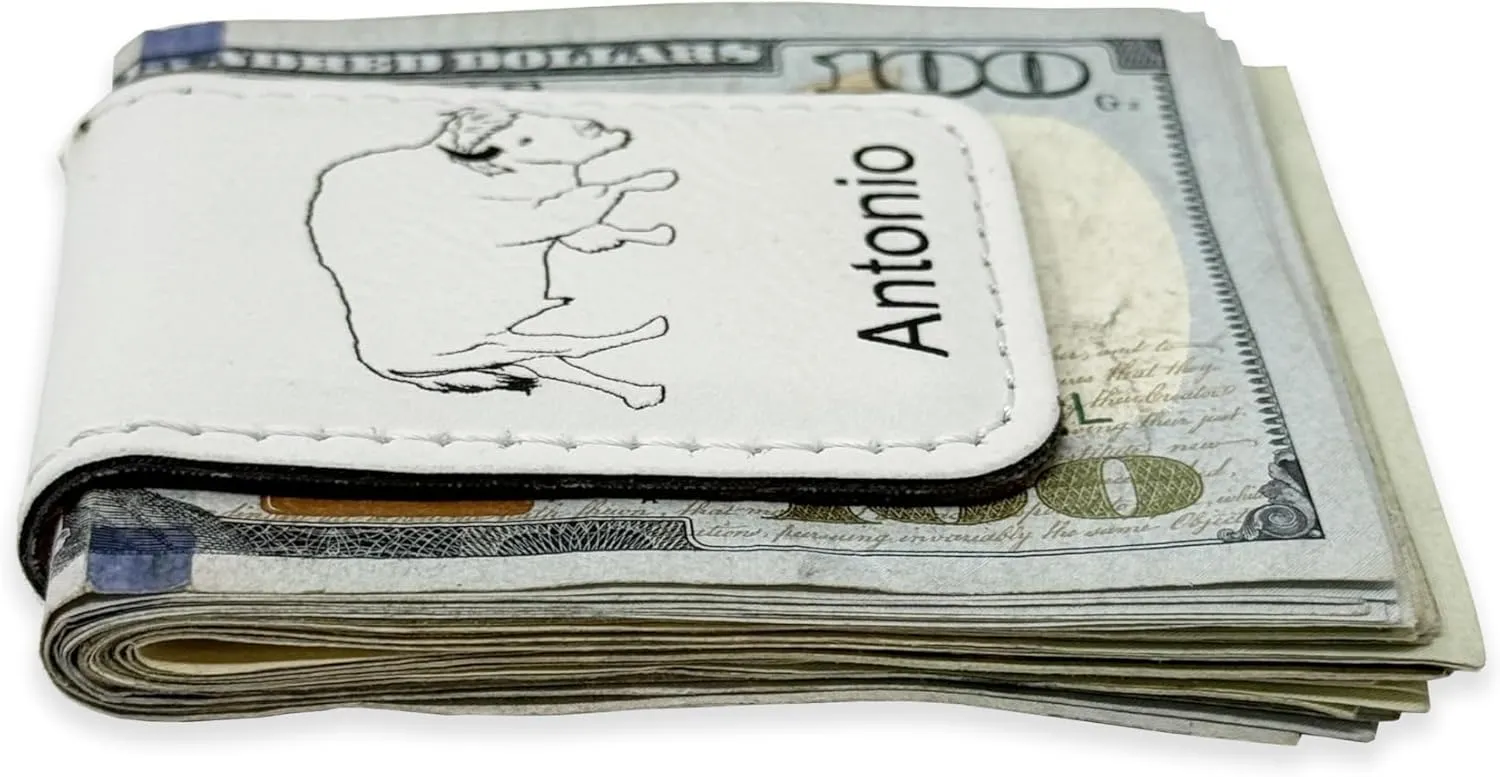 LaserGram Slim Magnetic Money Clip, Princess Crown, Personalized Engraving Included (Black with Silver)