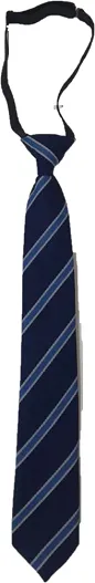 Parklands College Clip On Tie